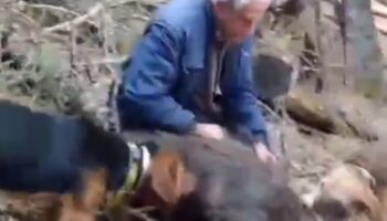 70 yasindaki usta avci yaban domuzunu elleriyle yakaladi wg3HqLFB