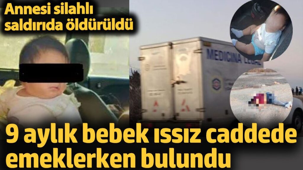 9 aylik bebek issiz caddede emeklerken bulundu annesi silahli saldirida olduruldu NEV2vZB3