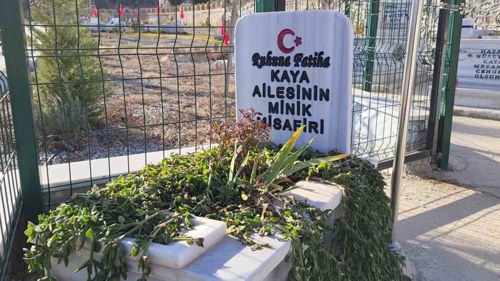aile mezarliginin minik misafiri 0 eNQ5i98y
