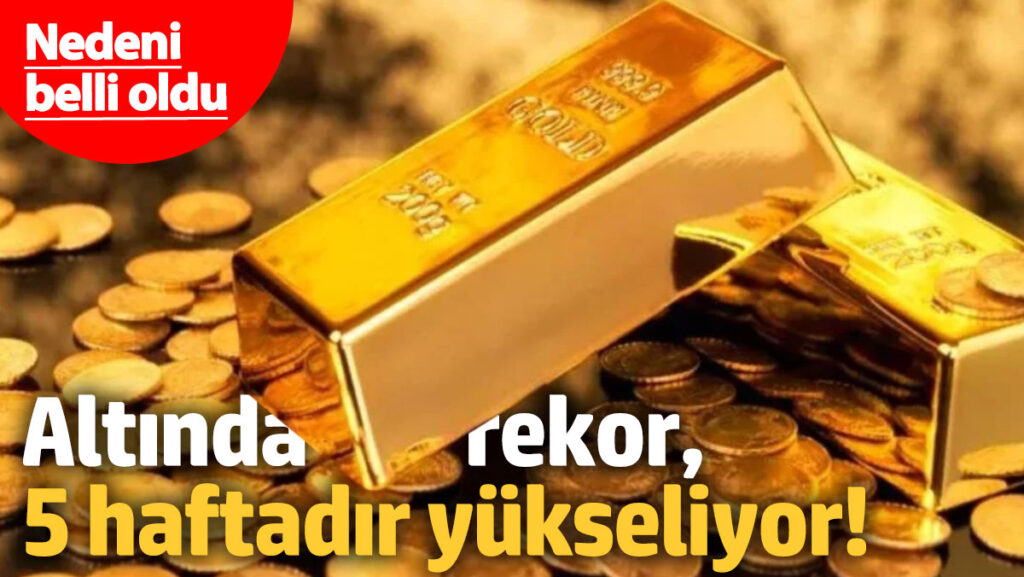 altinda rekor arka arkaya 5 haftadir yukseliyor fDxCi31r