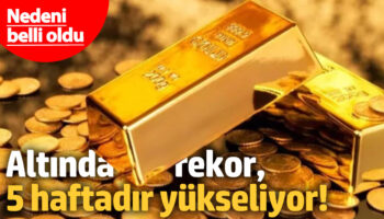 altinda rekor arka arkaya 5 haftadir yukseliyor fDxCi31r