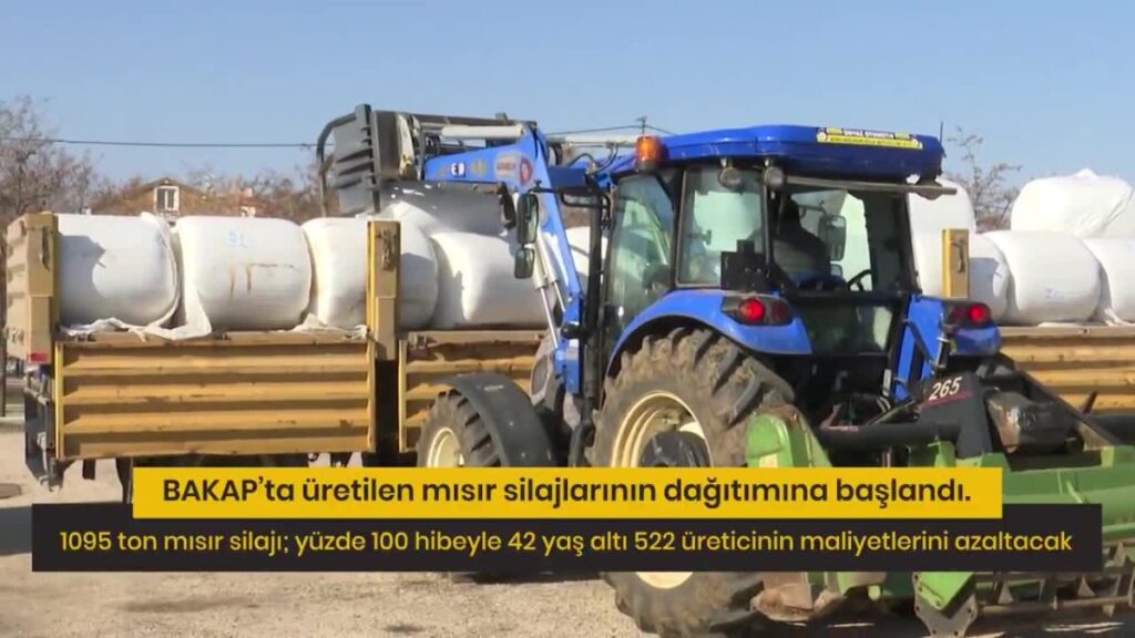 ankara buyuksehir belediyesinden misir silaj destegi Zwd3KMgb