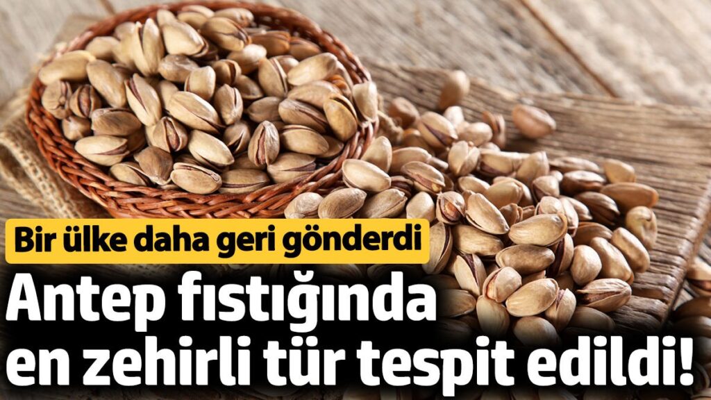 antep fistiginda en zehirli tur tespit edildi bir ulke daha geri gonderdi 2p5PLGLF