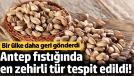 antep fistiginda en zehirli tur tespit edildi bir ulke daha geri gonderdi 2p5PLGLF