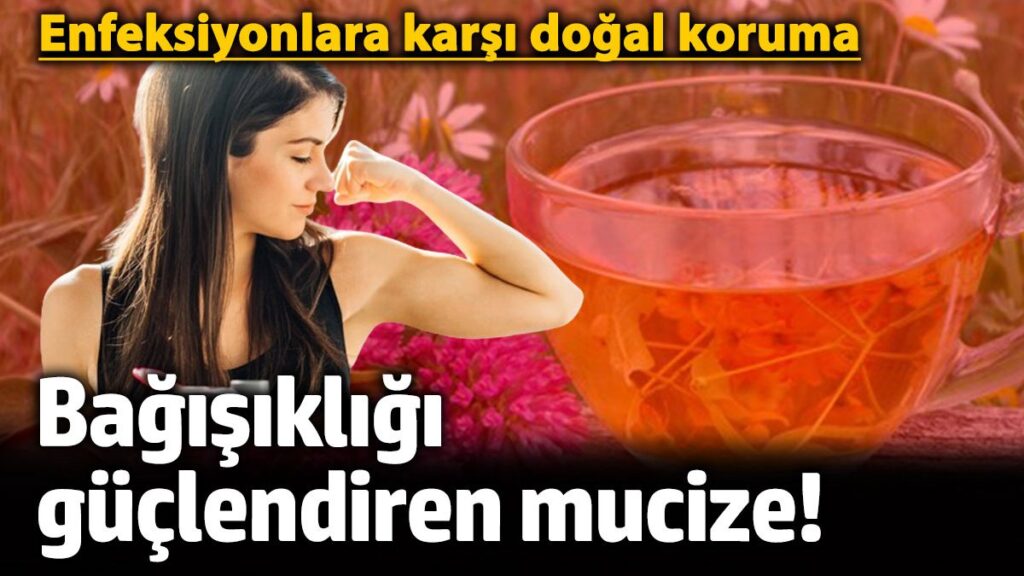 bagisikligi guclendiren mucize enfeksiyonlara karsi dogal koruma COgUfYvK