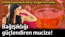 bagisikligi guclendiren mucize enfeksiyonlara karsi dogal koruma COgUfYvK