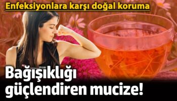 bagisikligi guclendiren mucize enfeksiyonlara karsi dogal koruma COgUfYvK