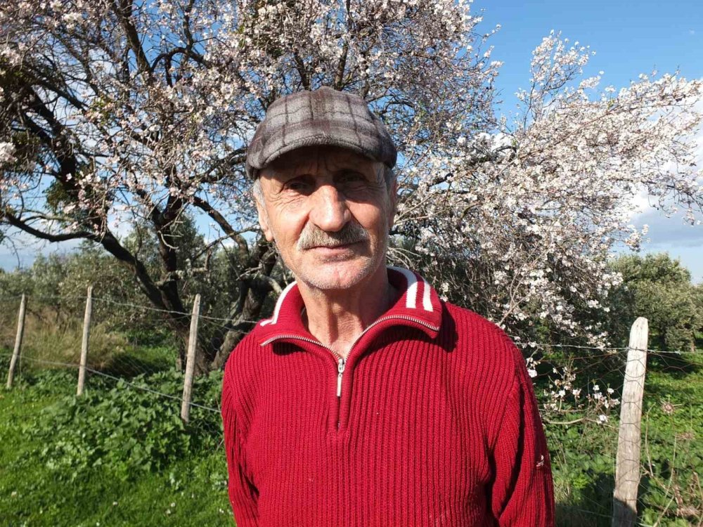 balikesirde bademler cicek acti 3 cZ87H1Us