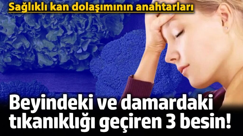 beyindeki ve damardaki tikanikligi geciren 3 besin saglikli kan dolasiminin anahtarlari rgc8BOdS