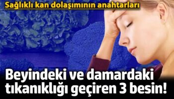 beyindeki ve damardaki tikanikligi geciren 3 besin saglikli kan dolasiminin anahtarlari rgc8BOdS