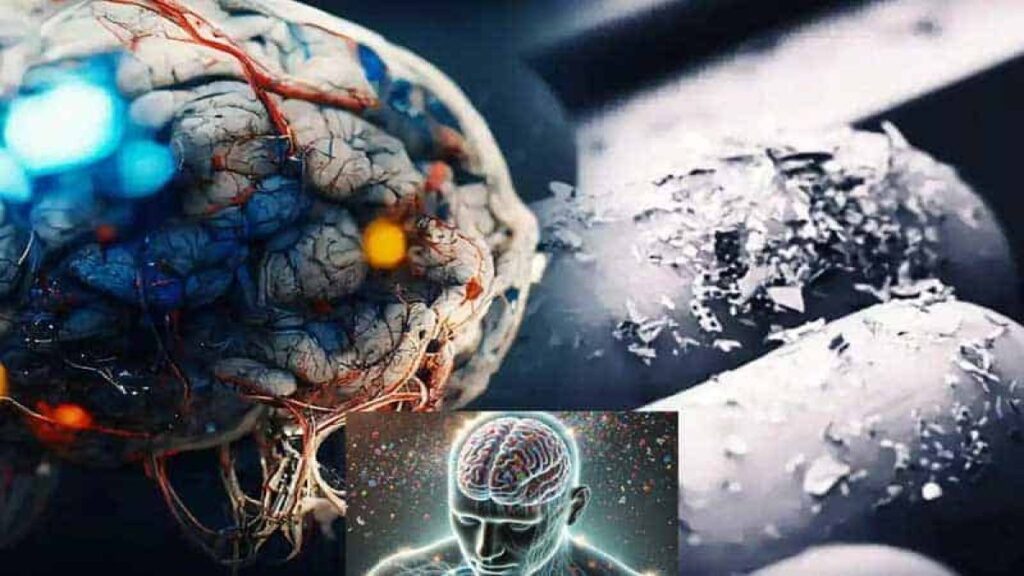 bilim insanlarindan korkutan aciklama insan beyninde plastik birikimi artiyor B9nP8Svk