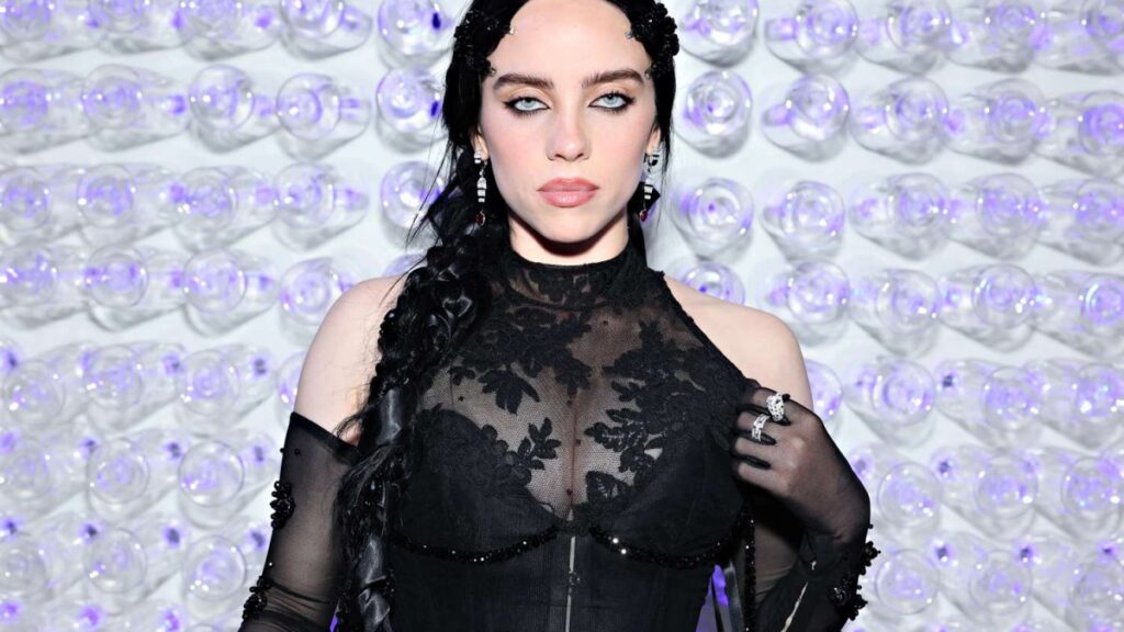 billie eilish grammy odullerini topa tuttu emeklerimi caldilar OSSjyi23