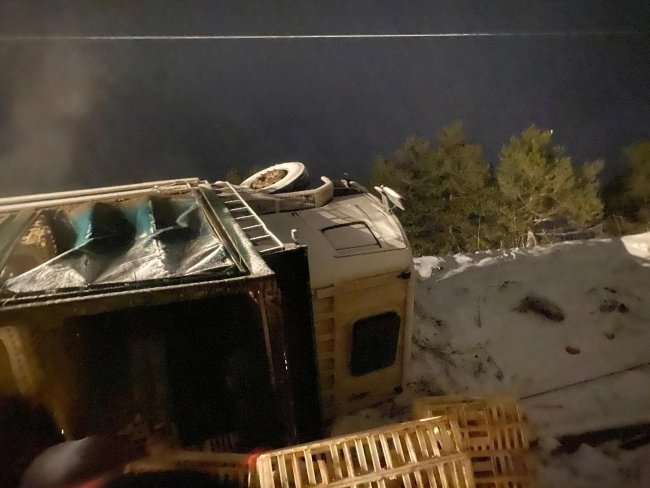 boluda erpilicin tavuk yuklu kamyonu devrildi yuzlerce tavuk telef 1