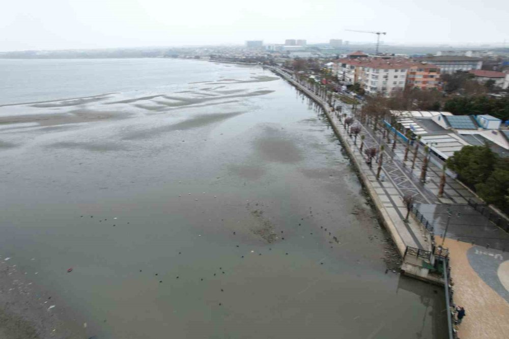 deniz 150 metre cekildi marmarada urkuten goruntu 1 mePLXuBu