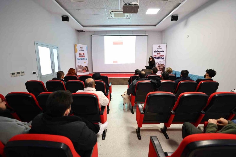 denizli buyuksehir ev hayvani satisi yapanlara egitim verdi 2 gIUuEkXg