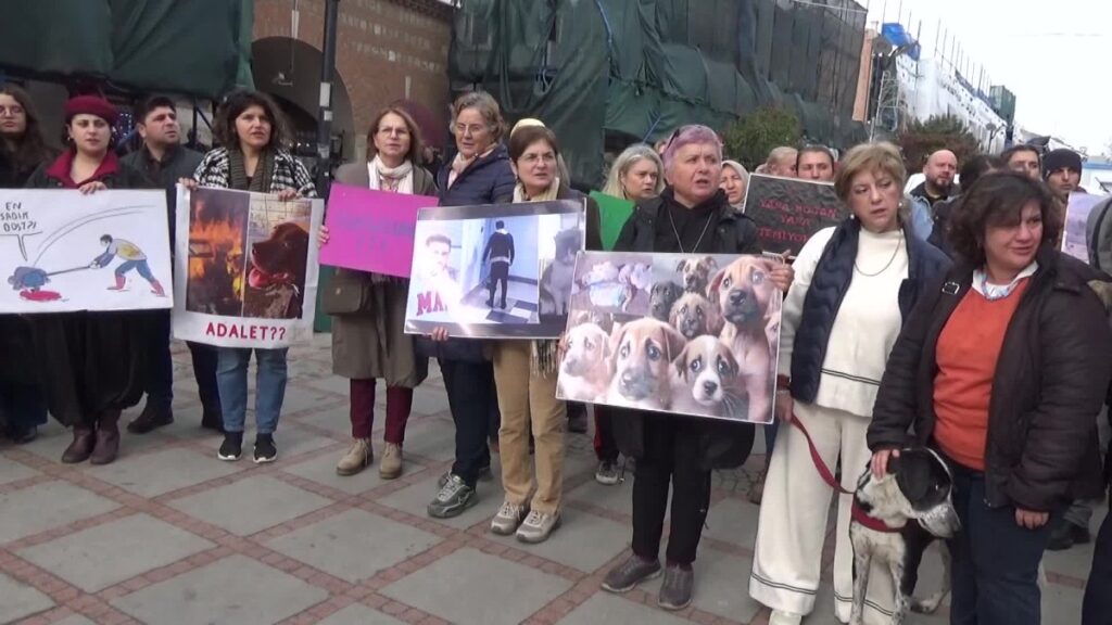 edirnede yasam hakki savunucularindan aymye cagri KrjkVxGY