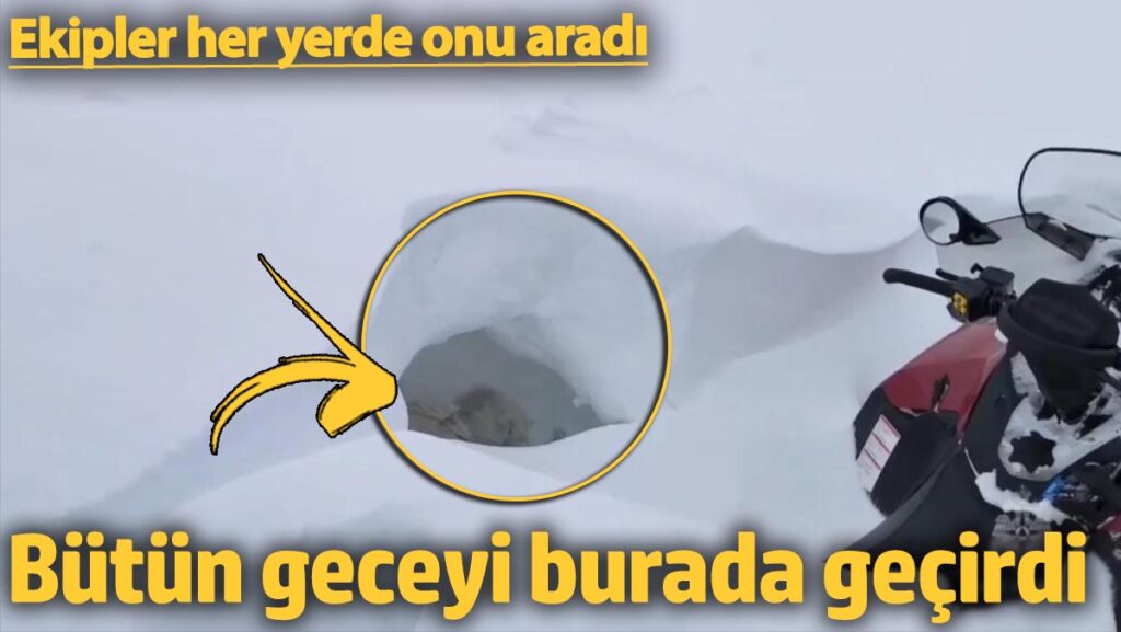 Ekipler her yerde onu aradı! Bütün geceyi burada geçirdi 1 ekipler her yerde onu aradi butun geceyi burada gecirdi M8mALhOx