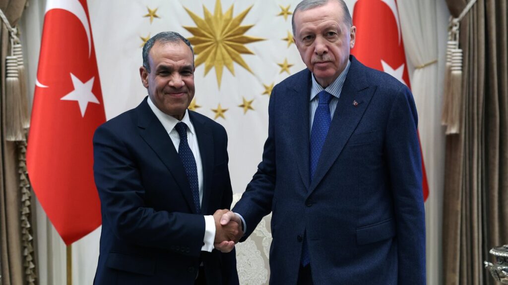erdogan misir disisleri bakani abdulatiyi kabul etti P9gyKfx6