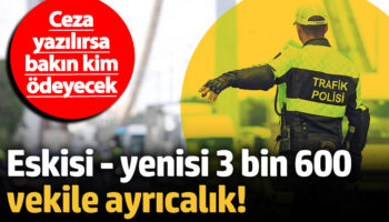 eskisi yenisi 3 bin 600 vekile ayricalik ceza yazilirsa bakin kim odeyecek hyHA7d4u