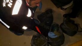 ev degil uyusturucu deposu kilolarca ele gecirildi M6FR6JJz