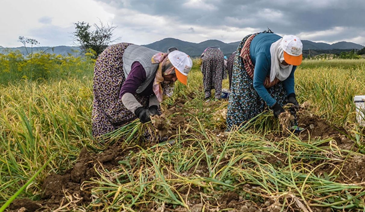 fiyatini duyanlarin tansiyonu tavan yapti aslinda tansiyon dusurucuydu kusbasi eti solladi 1 yHU1Rnqv