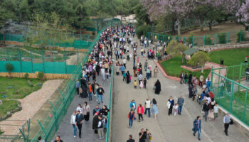 gaziantep dogal yasam parki yariyil tatilinde ziyaretci akinina ugradi MpKGbvER