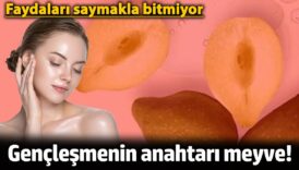 genclesmenin anahtari meyve faydalari saymakla bitmiyor swRS9gBl