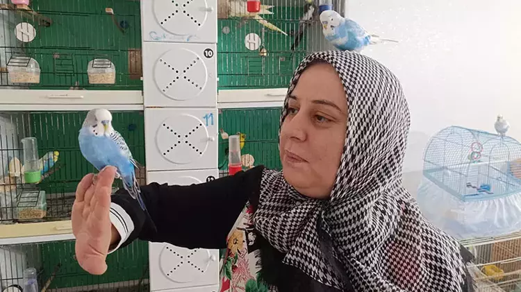 gencligin sirri kuslarda mi isin uzmanlari anlatiyor 3 MYG1cIbf