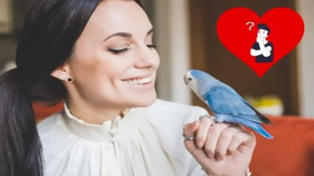 gencligin sirri kuslarda mi isin uzmanlari anlatiyor 7qYWeGBb
