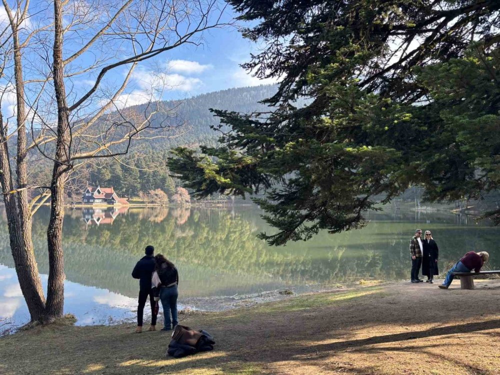 golcuk tabiat parkinda somestr yogunlugu 2