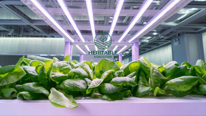 google x tarimda verimliligi arttiran heritable agricultureyi tanitti 0 izkPUy3u