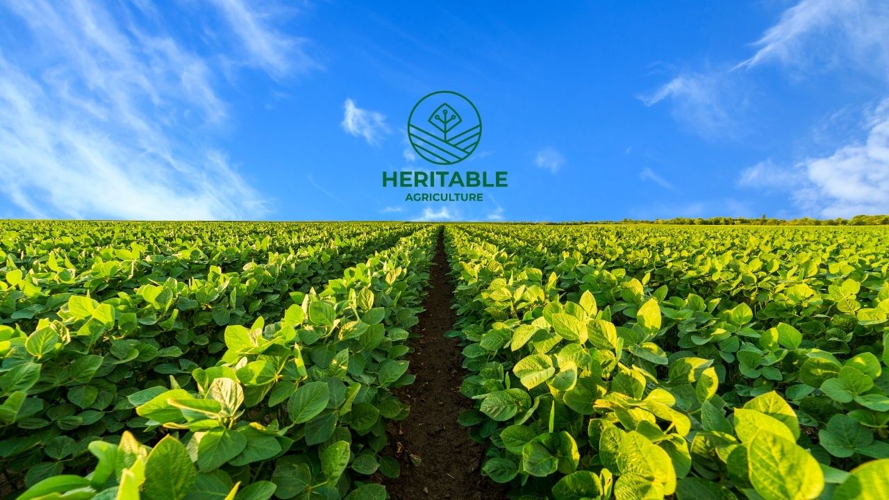 google x tarimda verimliligi arttiran heritable agricultureyi tanitti 4 uGgOJm4y