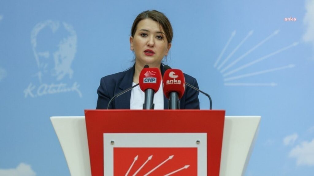 halk tv genel yayin yonetmeni suat toktasin tutuklanmasina iliskin chp genel baskan yardimcisi gokce uNZDQceZ