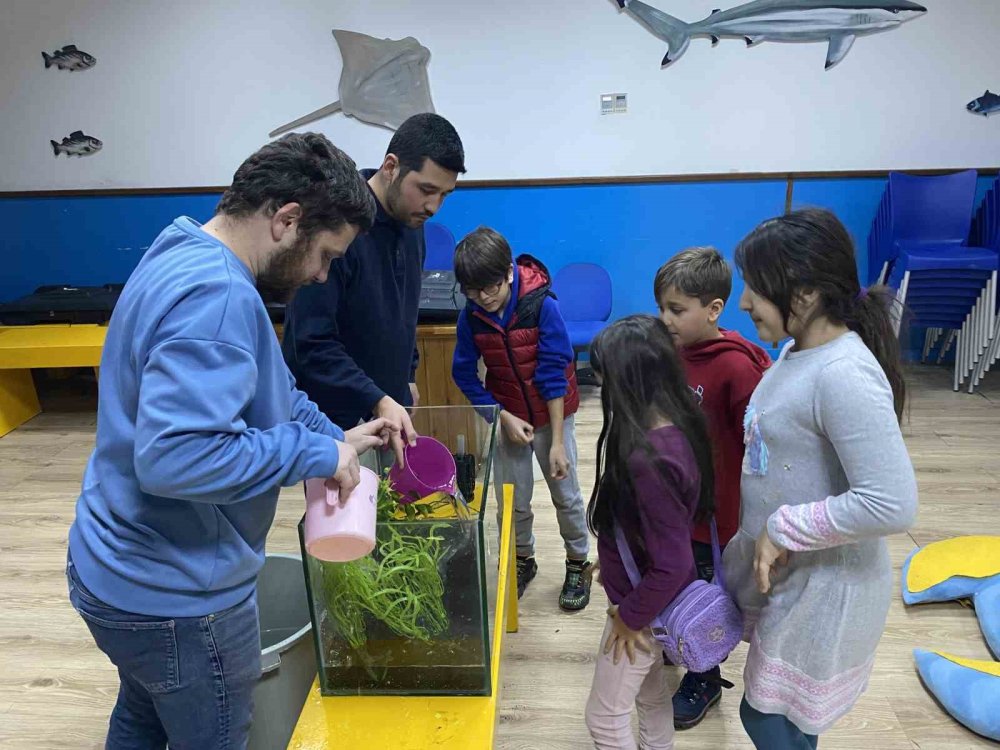 hayvanat bahcesi bu hafta minik misafirlerini agirladi 2 IWQ8iTpY