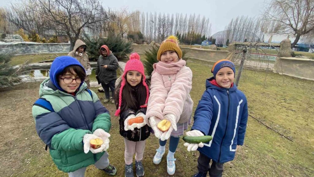hayvanat bahcesi bu hafta minik misafirlerini agirladi nLEjhmjY