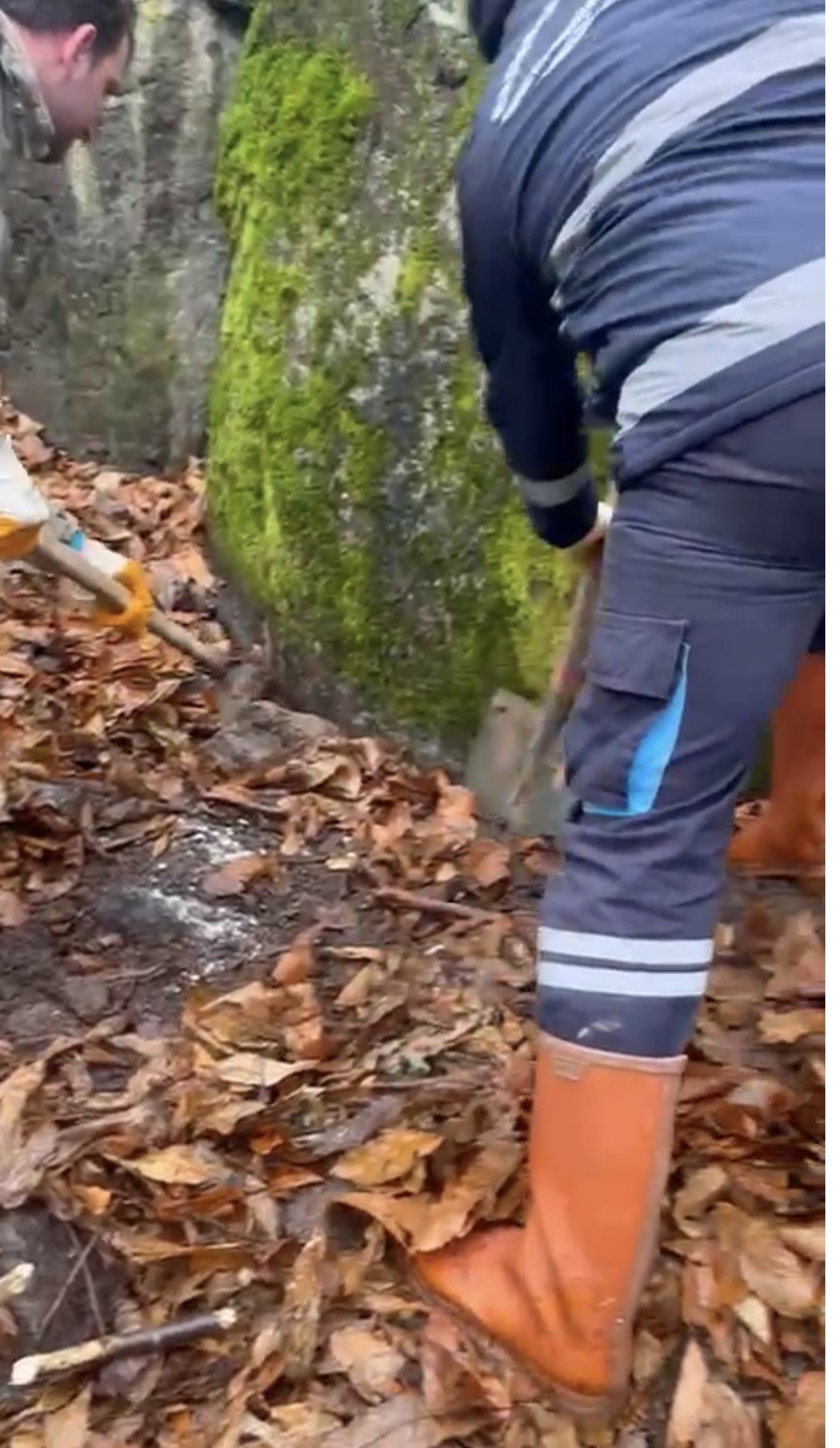 is insanini oldurup ormana gomduler kabus gibi cinayette kan donduran itiraflar 18