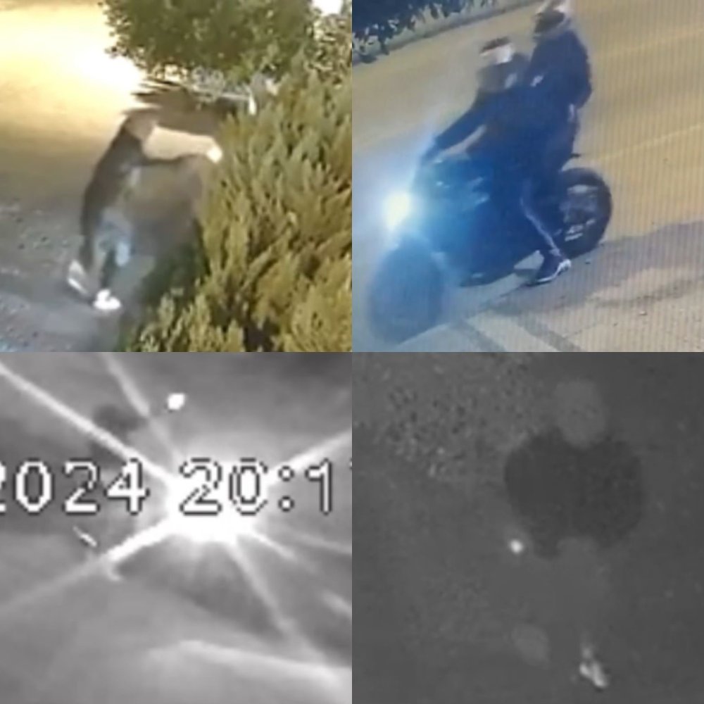 is yerlerini kursunlayip harac aliyorlardi kaplanlar cetesine polis darbesi 6 mVuuTAsi