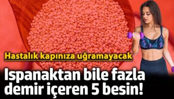 ispanaktan bile fazla demir iceren 5 besin hastalik kapiniza ugramayacak EaG8bDaU