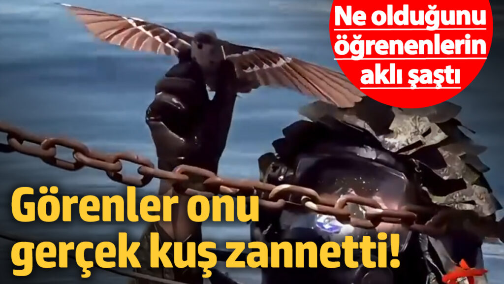 istihbaratin gozbebegi oldu casus kus drone gerceginden ayirmak imkansiz TOzIiUXG