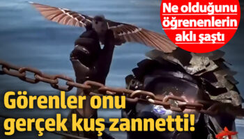istihbaratin gozbebegi oldu casus kus drone gerceginden ayirmak imkansiz TOzIiUXG