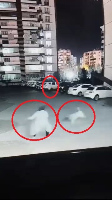 kadinin ciglik seslerine komsular yetisti sokak kopegi anne ile kizina saldirdi 0 H6JTntLC