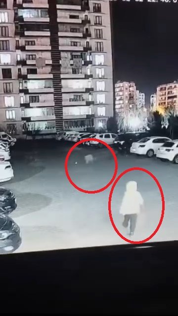 kadinin ciglik seslerine komsular yetisti sokak kopegi anne ile kizina saldirdi 1 e9g83StJ