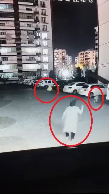kadinin ciglik seslerine komsular yetisti sokak kopegi anne ile kizina saldirdi 3 V9hvUVt7
