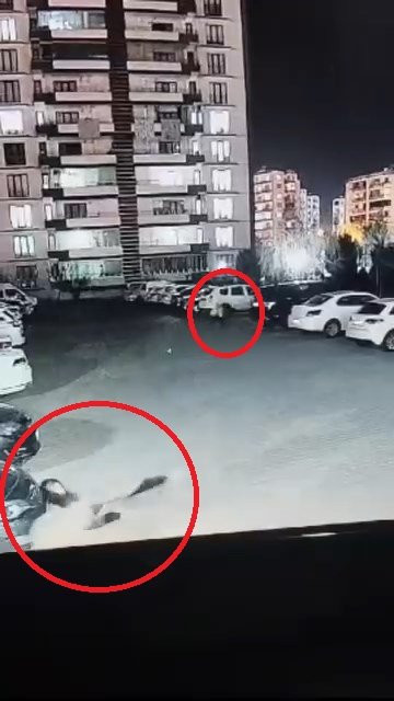 kadinin ciglik seslerine komsular yetisti sokak kopegi anne ile kizina saldirdi 4 vrq5vXJN