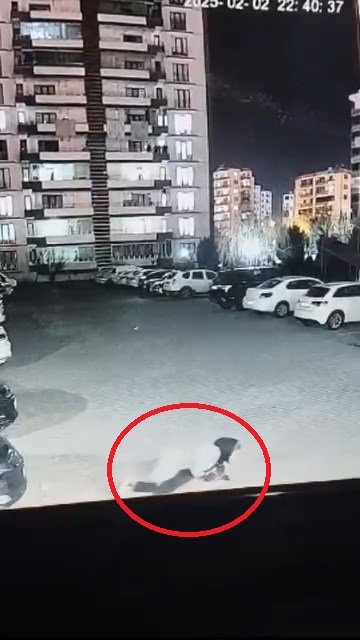kadinin ciglik seslerine komsular yetisti sokak kopegi anne ile kizina saldirdi 5 nTPLZFfB