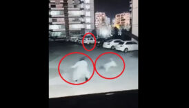 kadinin ciglik seslerine komsular yetisti sokak kopegi anne ile kizina saldirdi ZB6vi8zR