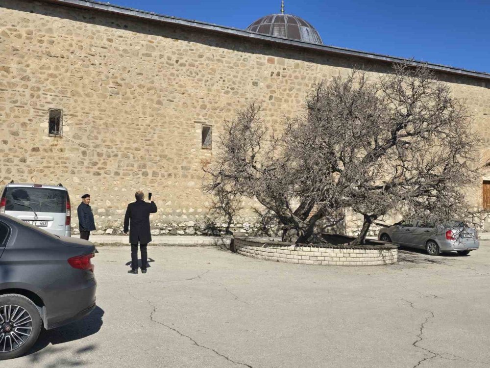 kadir gecesi secde ettigi rivayet ediliyordu 133 yillik dut agaci hayrete dusurdu 3 9tM1irT2