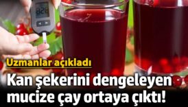kan sekerini dengeleyen mucize cay ortaya cikti uzmanlar acikladi Id9k8hzf