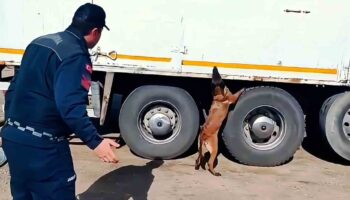 kargo aracinda 1 tonun uzerinde kacak tutun ve yuzlerce paket sigara ele gecirildi uW8yEVUR