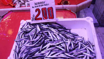 kilosu 100 liradan satilan istavrit hamsiyi geride birakti s7sR2tS4